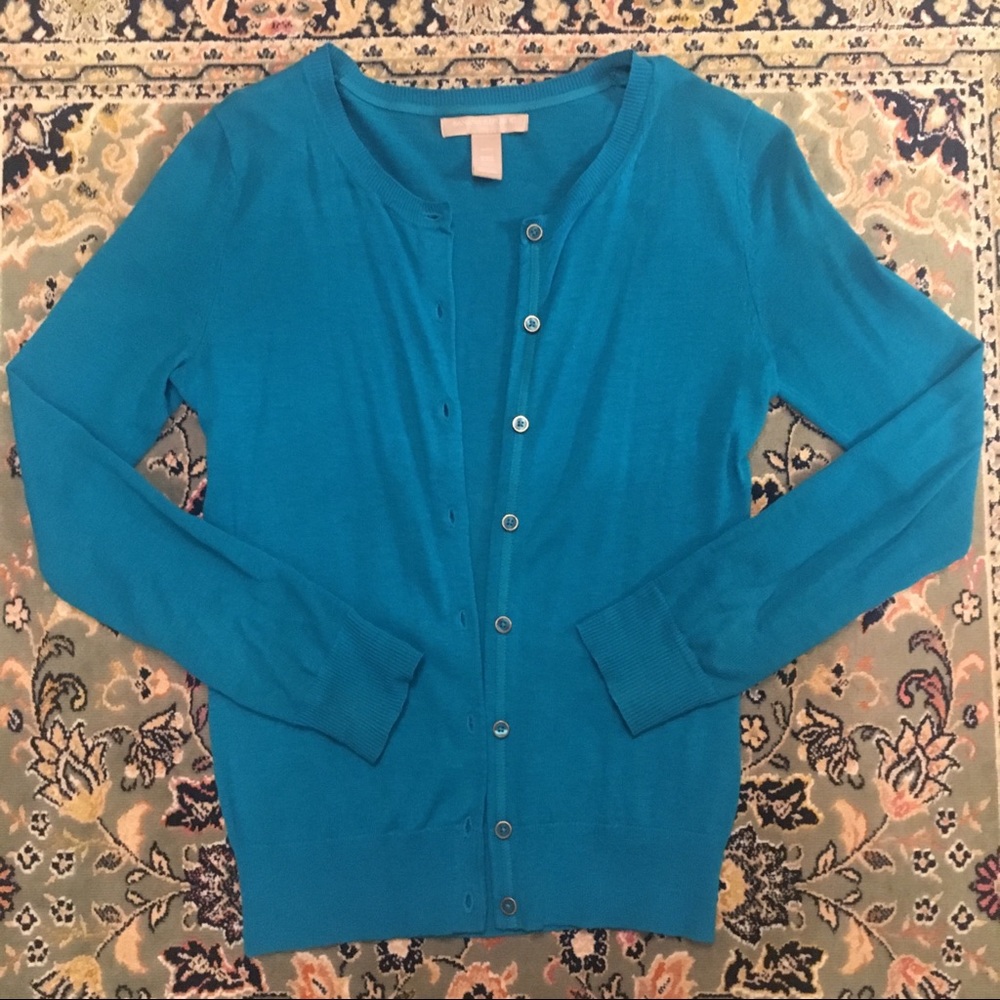 Blue Cardigan